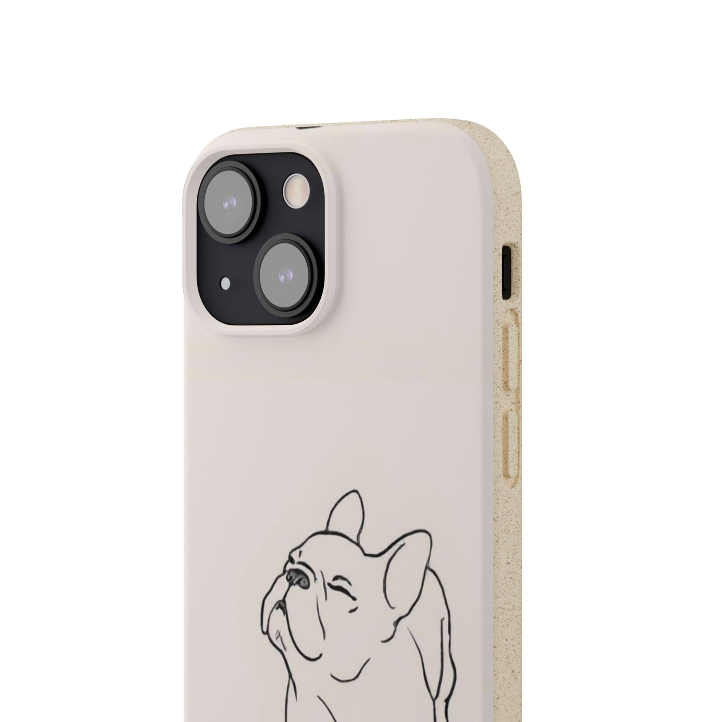 The Frenchie