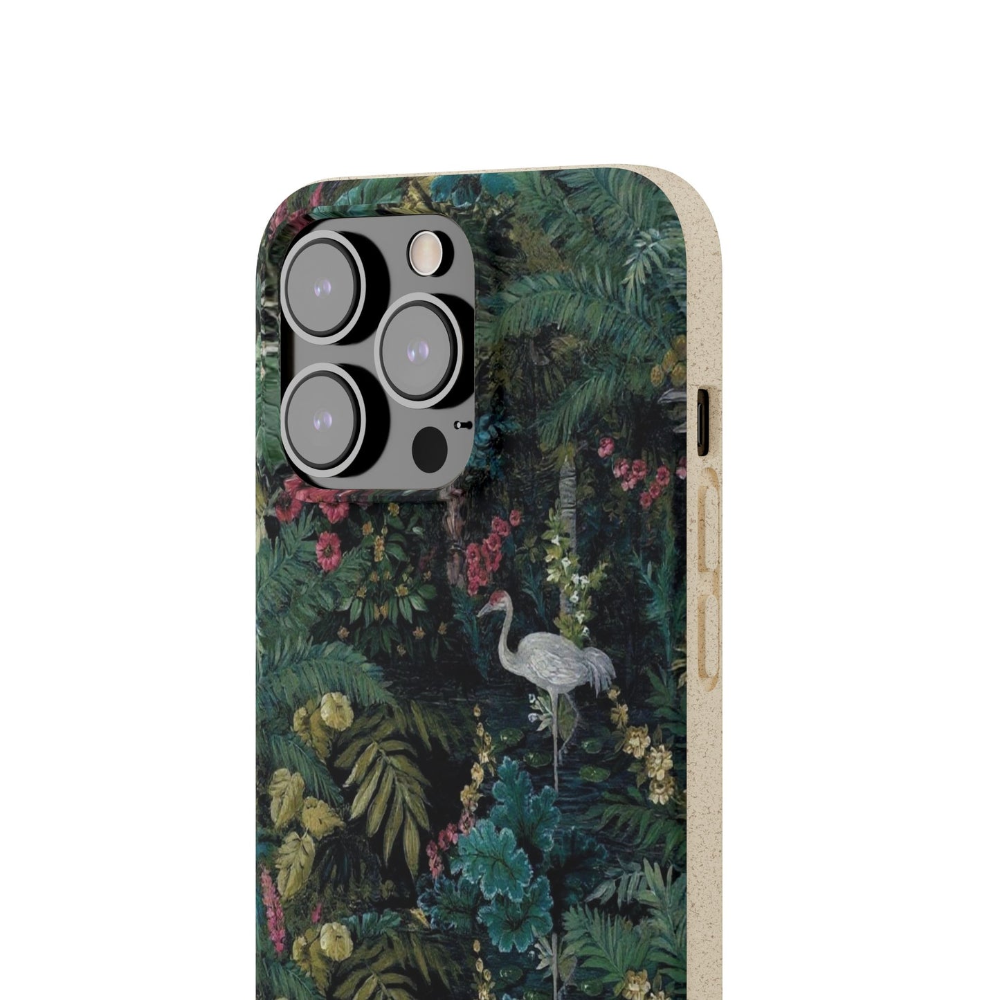 Tropical Reverie