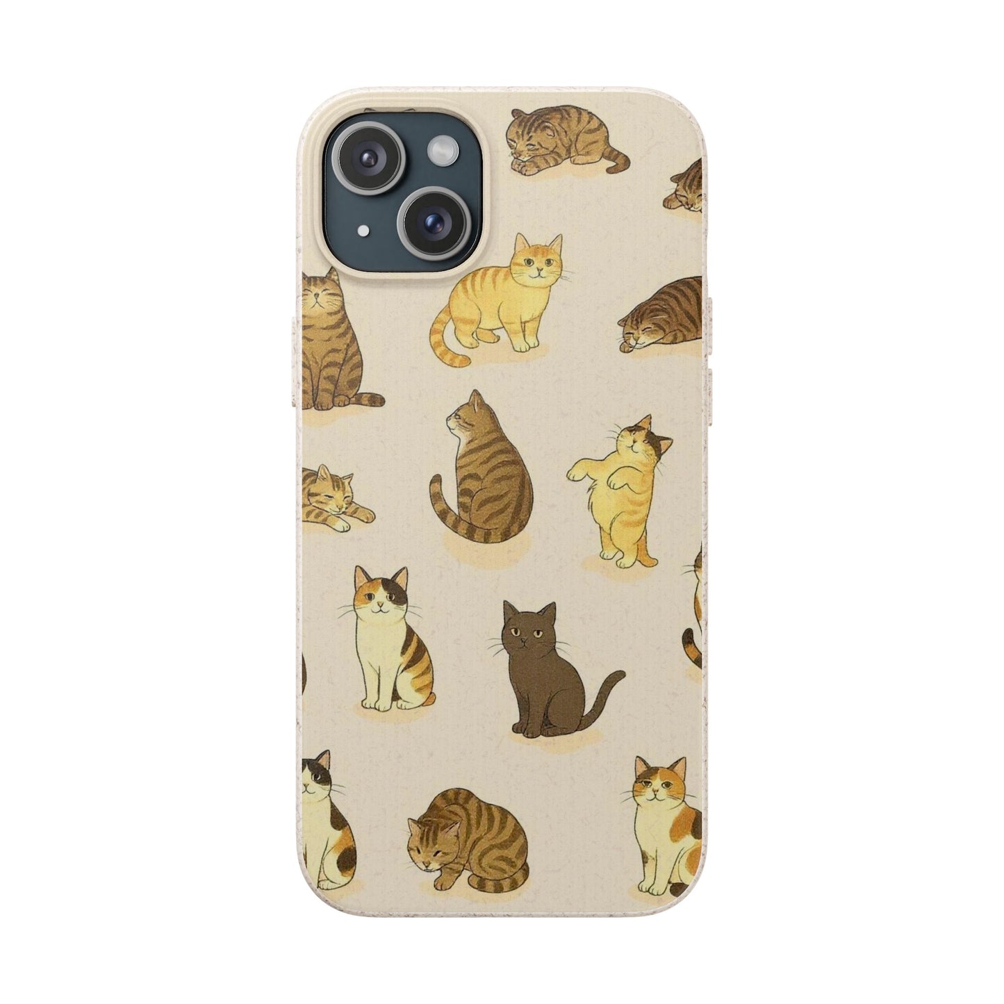 The Cat Collective