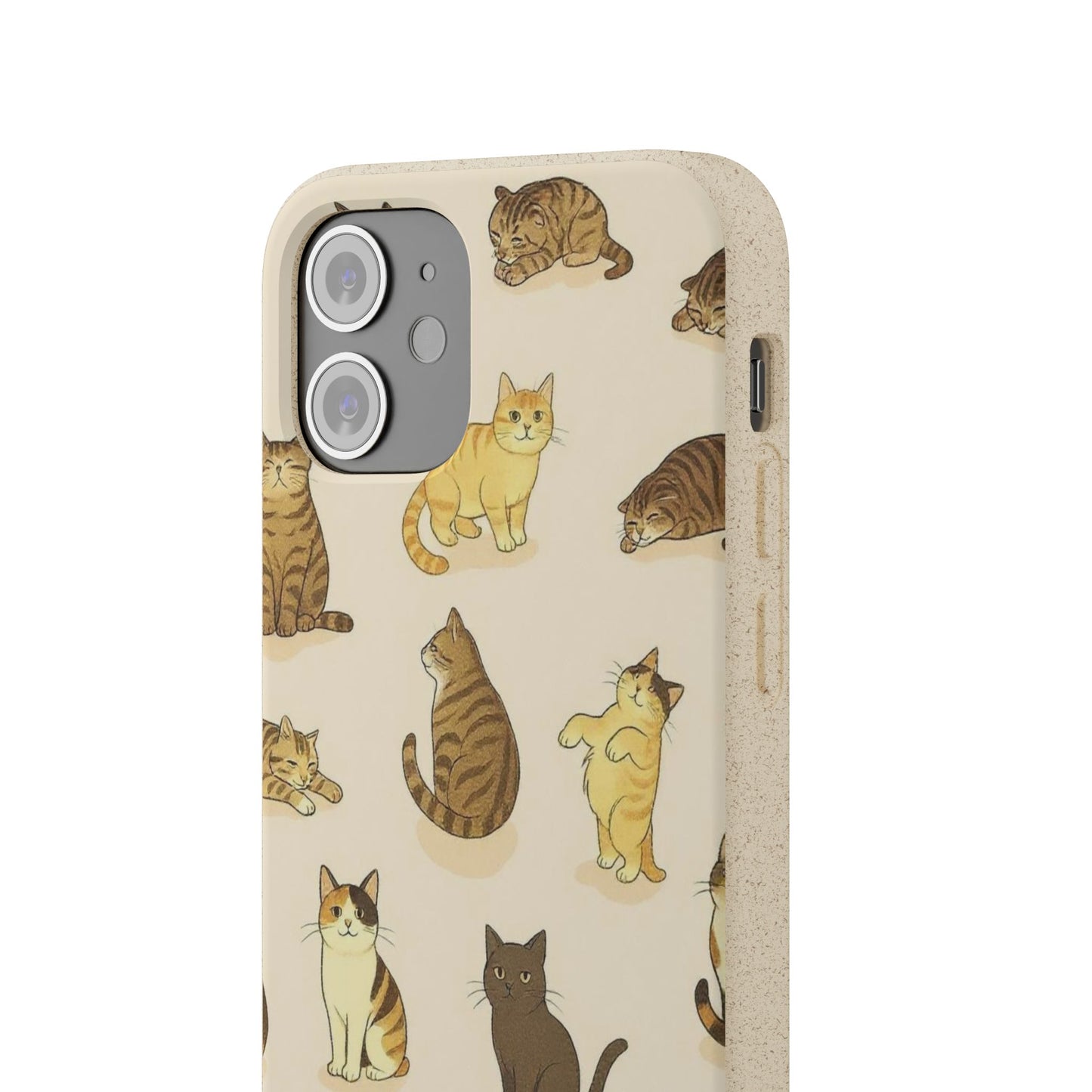 The Cat Collective