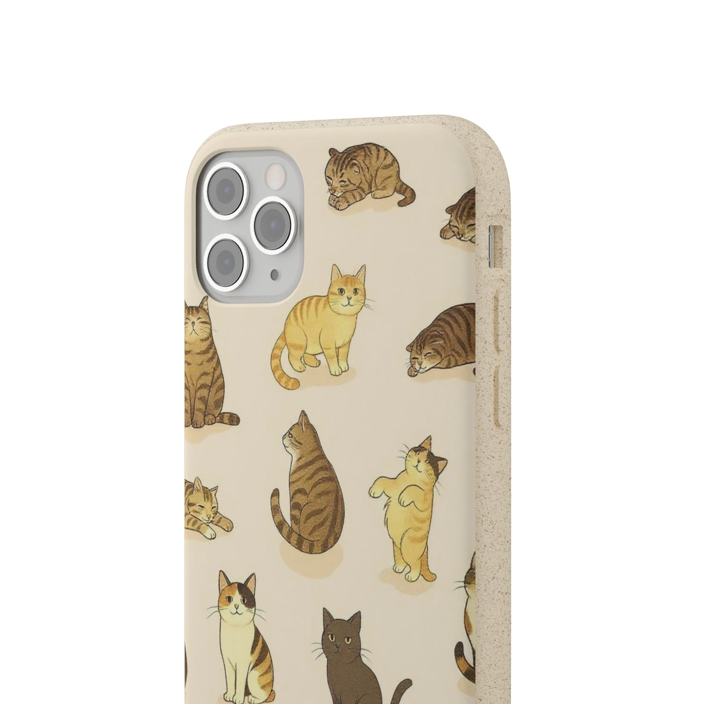 The Cat Collective
