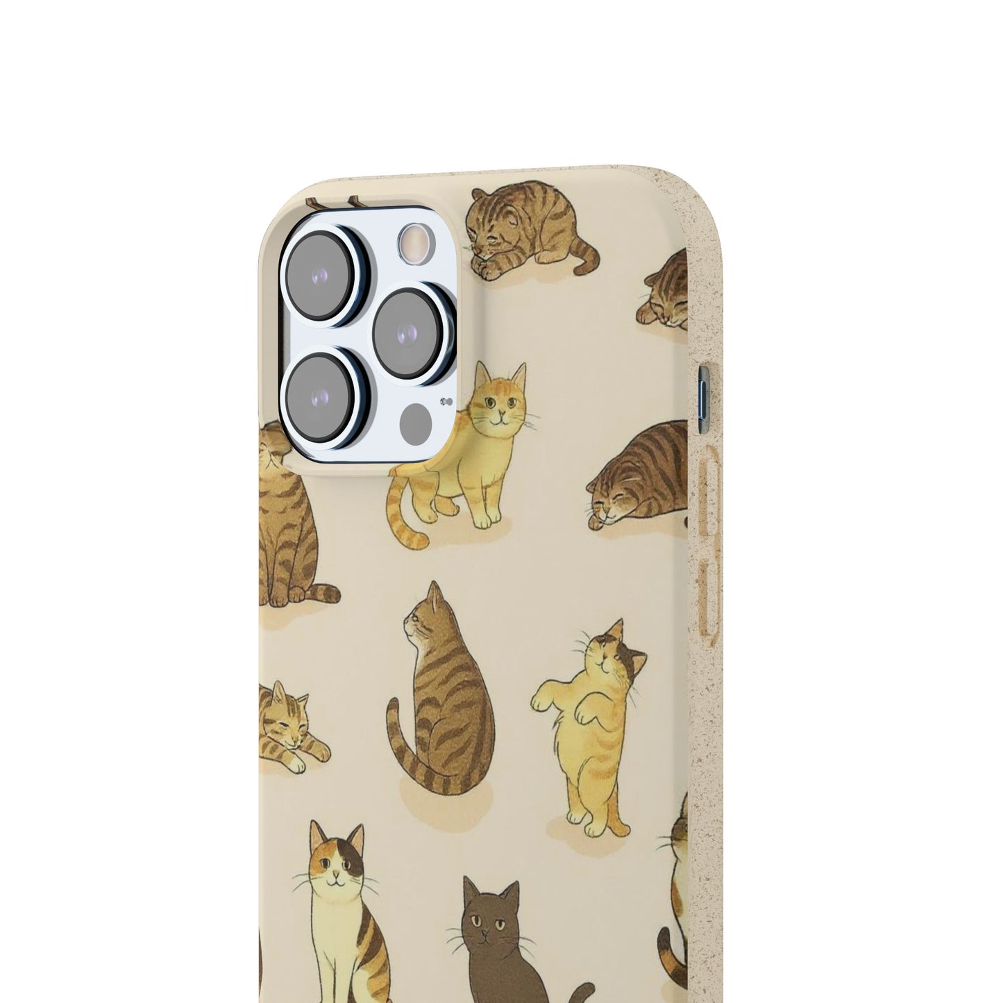 The Cat Collective