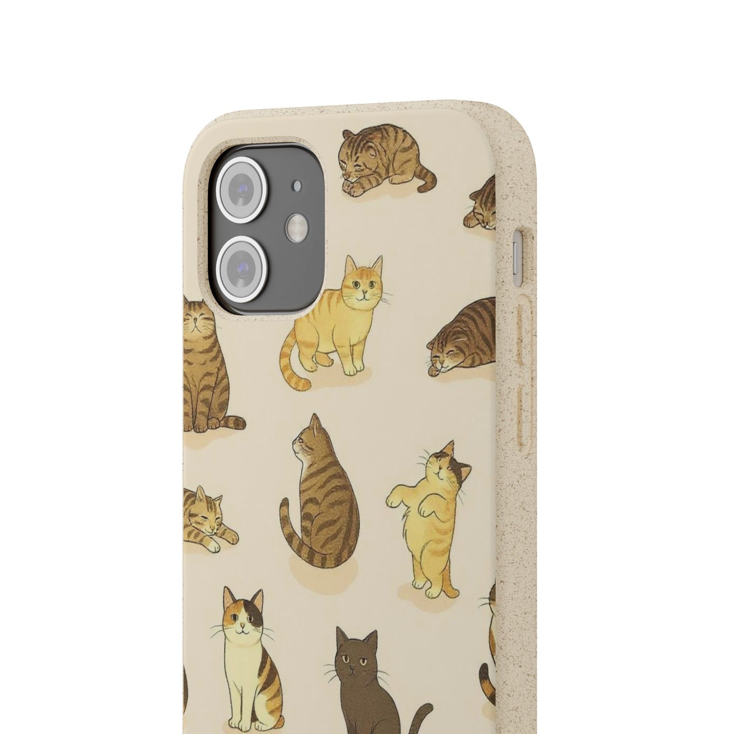 The Cat Collective