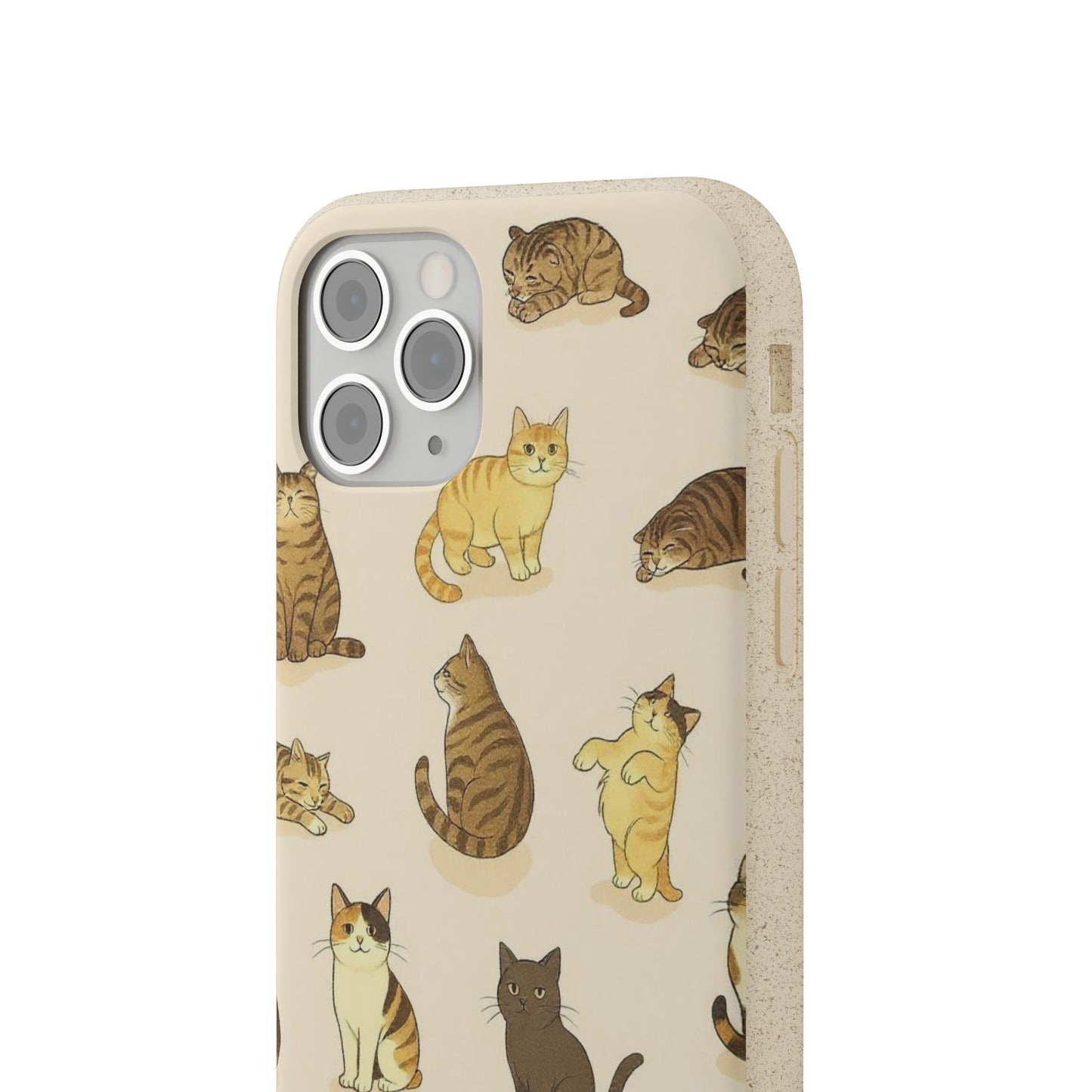 The Cat Collective