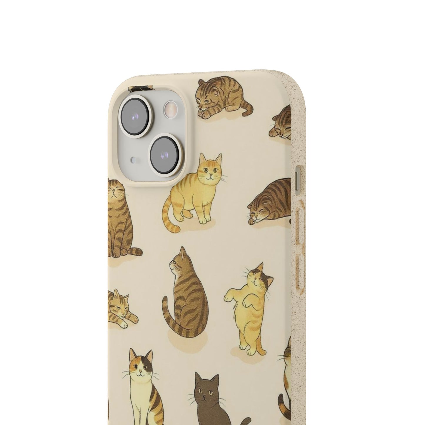 The Cat Collective