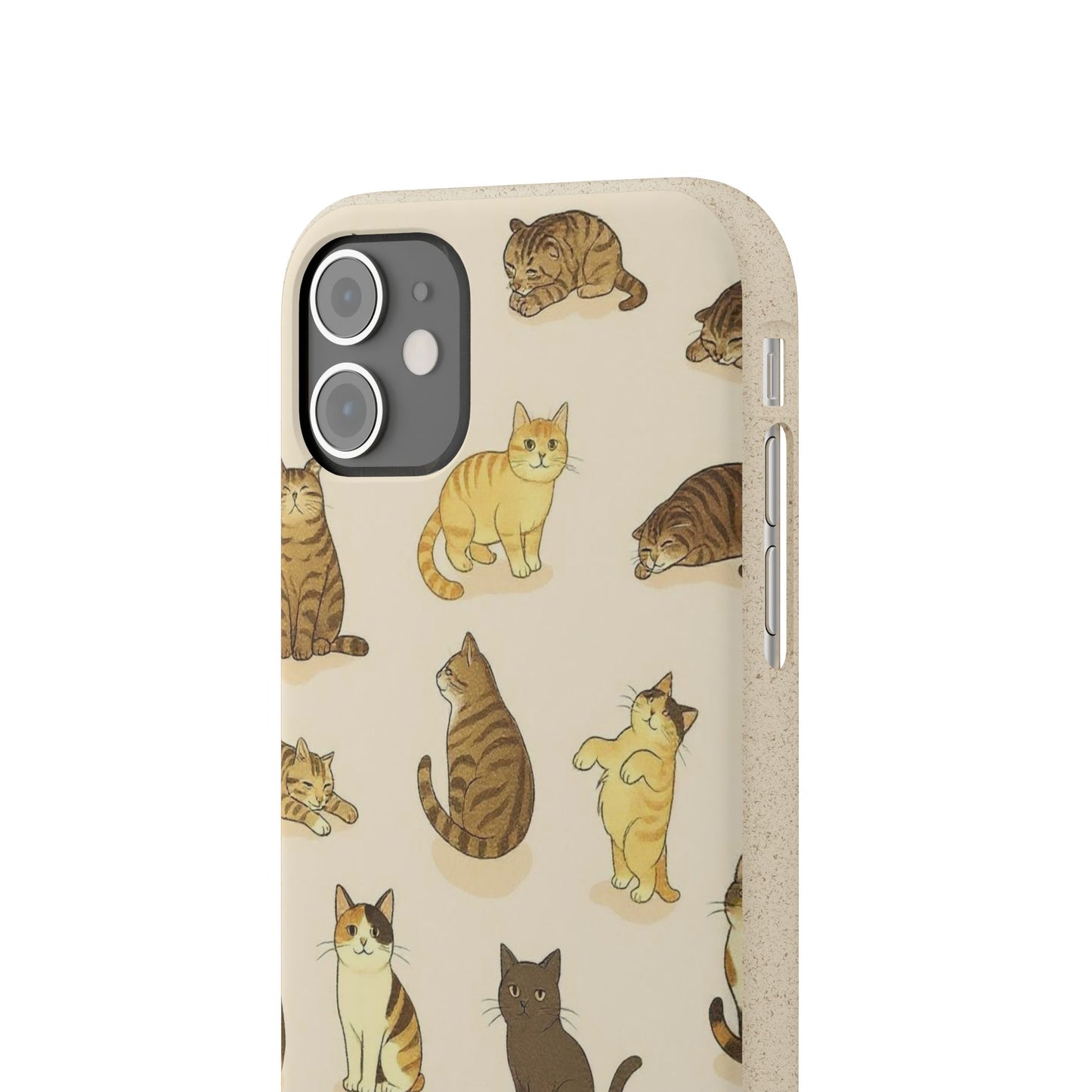 The Cat Collective