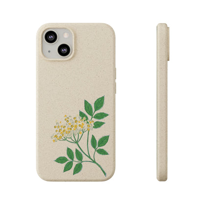 Elderflower Whispers