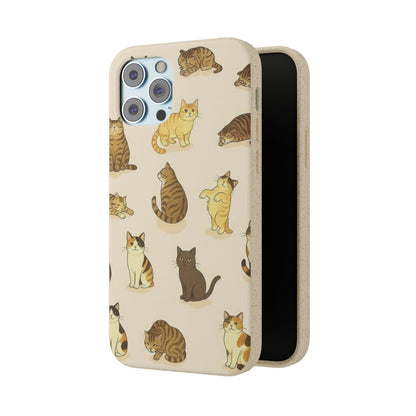 The Cat Collective