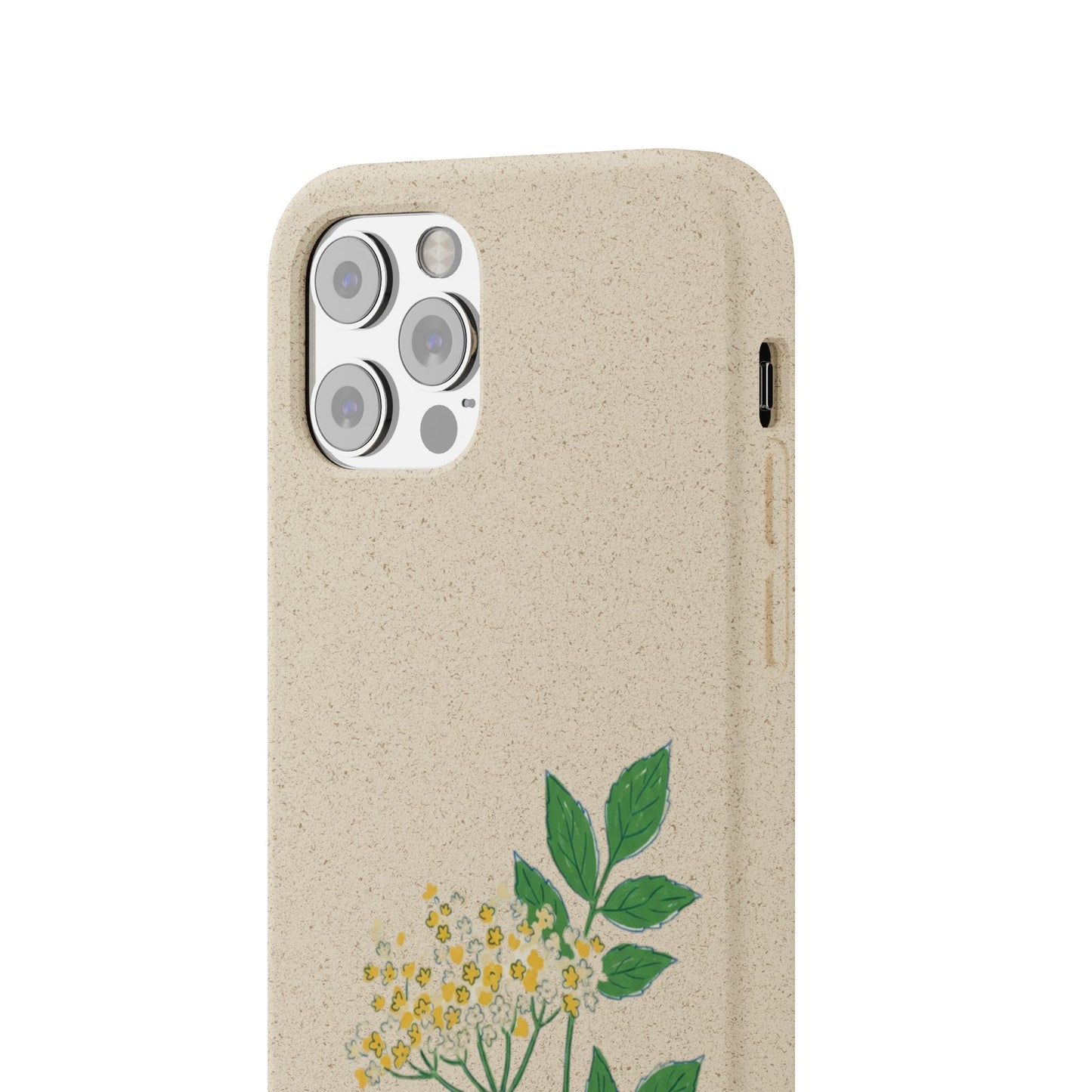 Elderflower Whispers