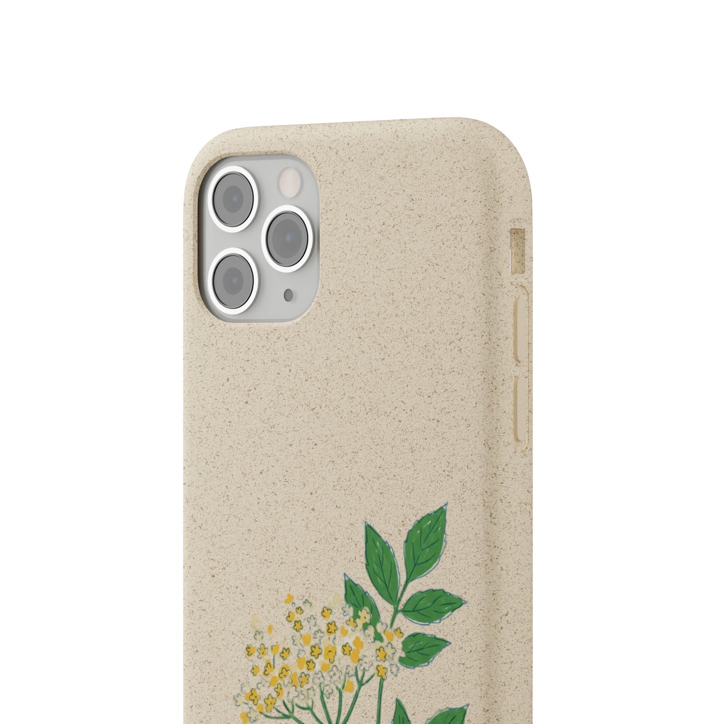 Elderflower Whispers