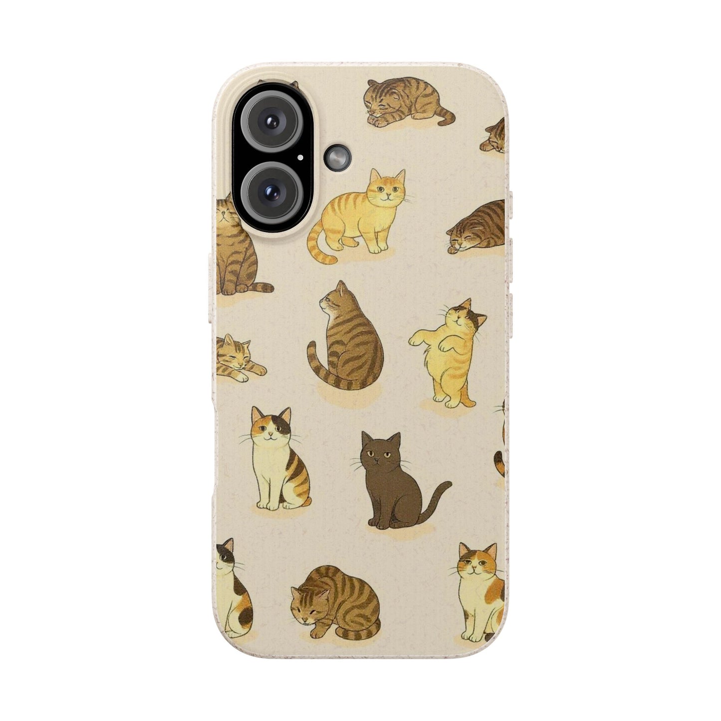 The Cat Collective
