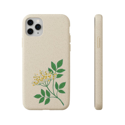 Elderflower Whispers