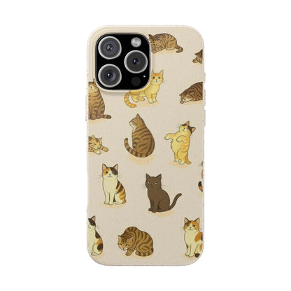 The Cat Collective