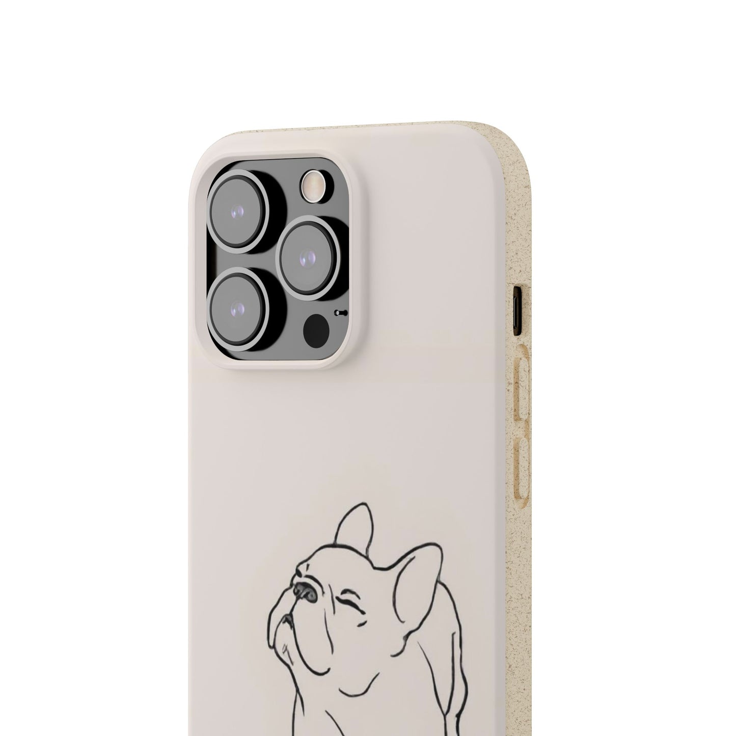 The Frenchie