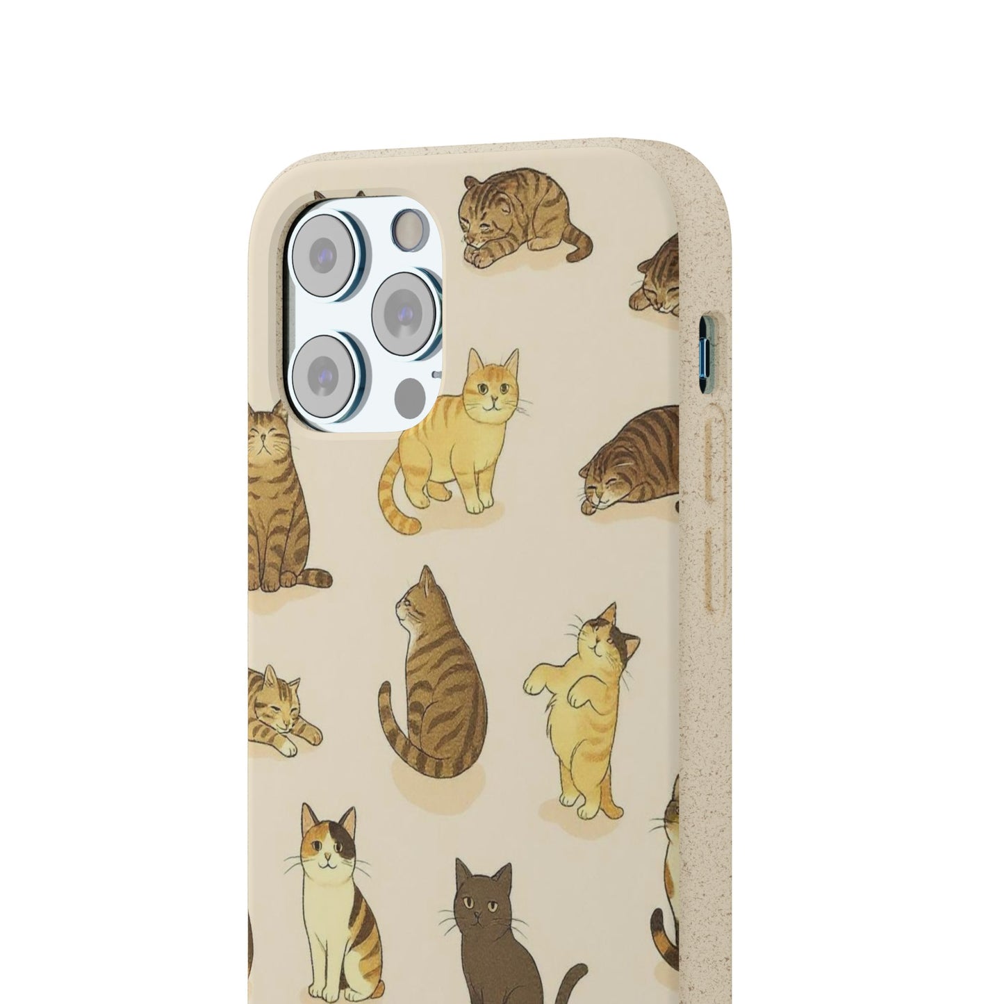 The Cat Collective