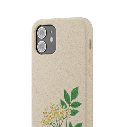 Elderflower Whispers