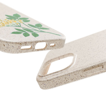 Elderflower Whispers