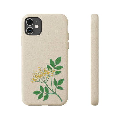 Elderflower Whispers