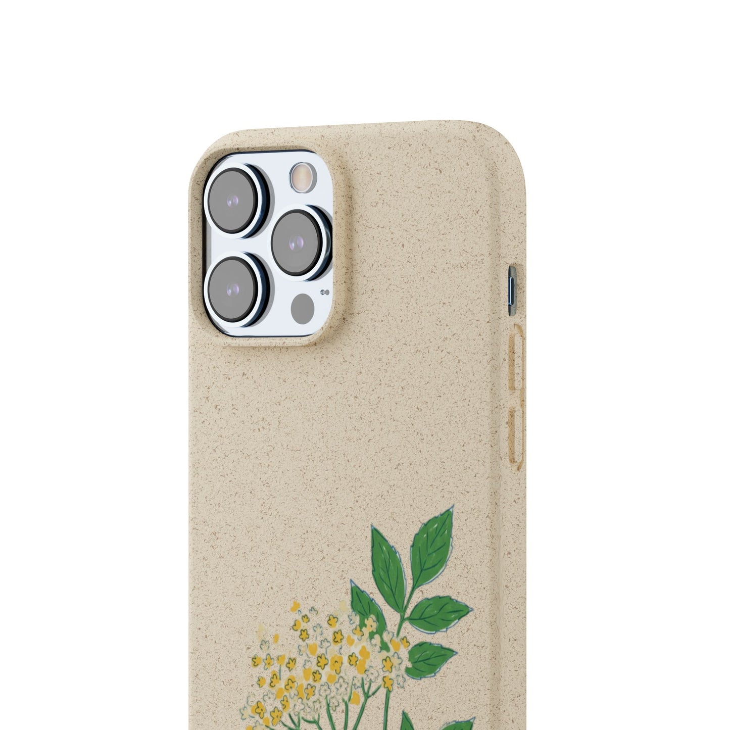 Elderflower Whispers