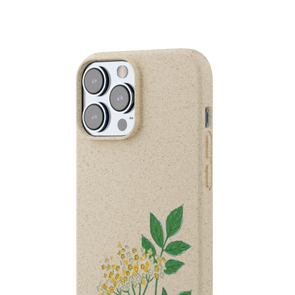 Elderflower Whispers