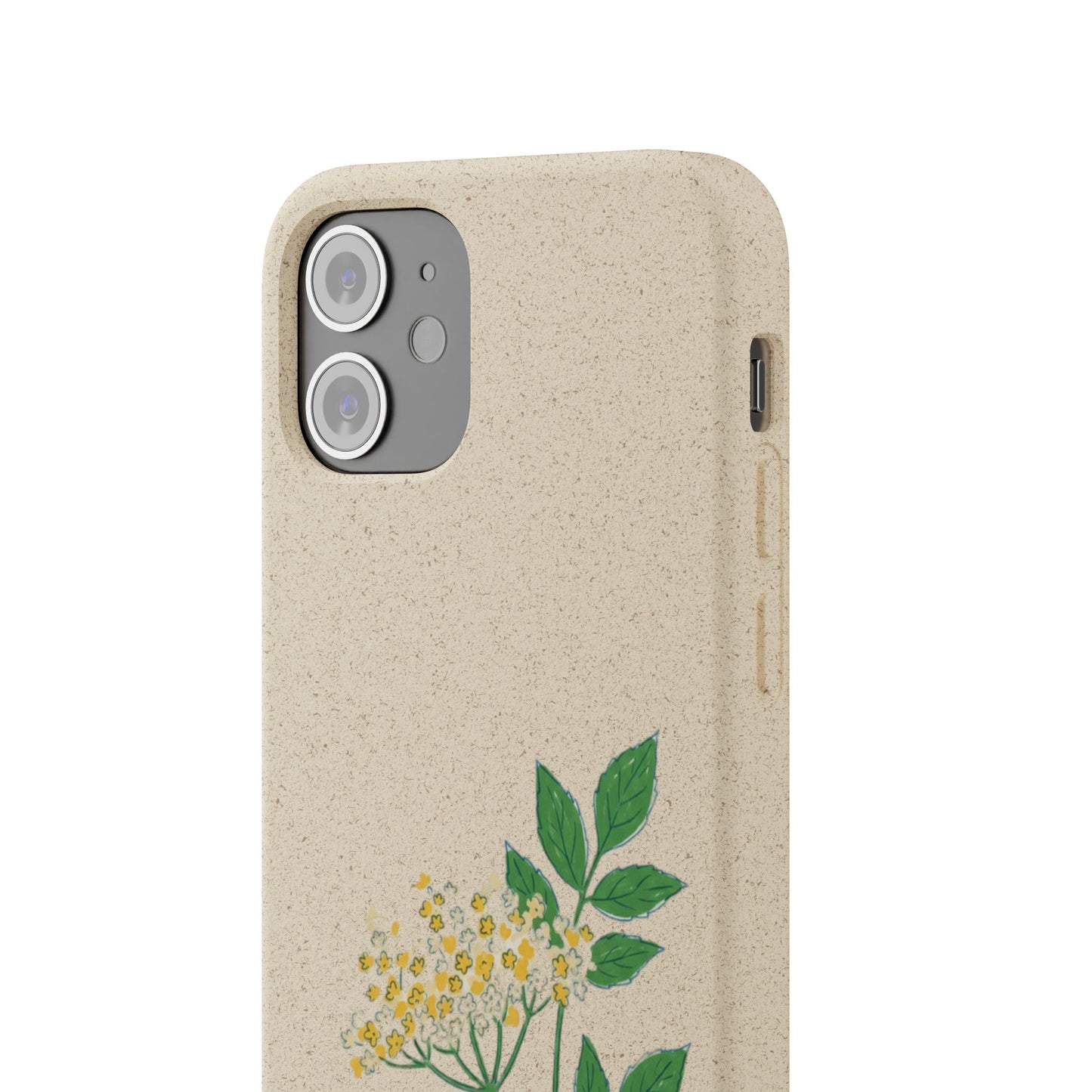 Elderflower Whispers