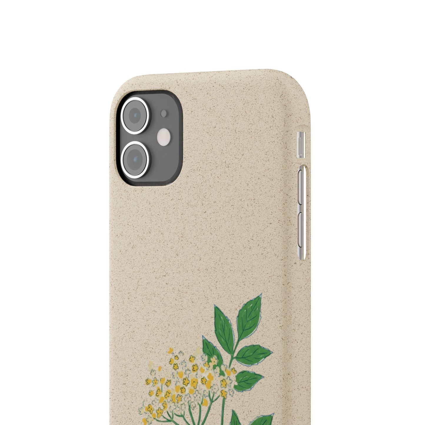 Elderflower Whispers