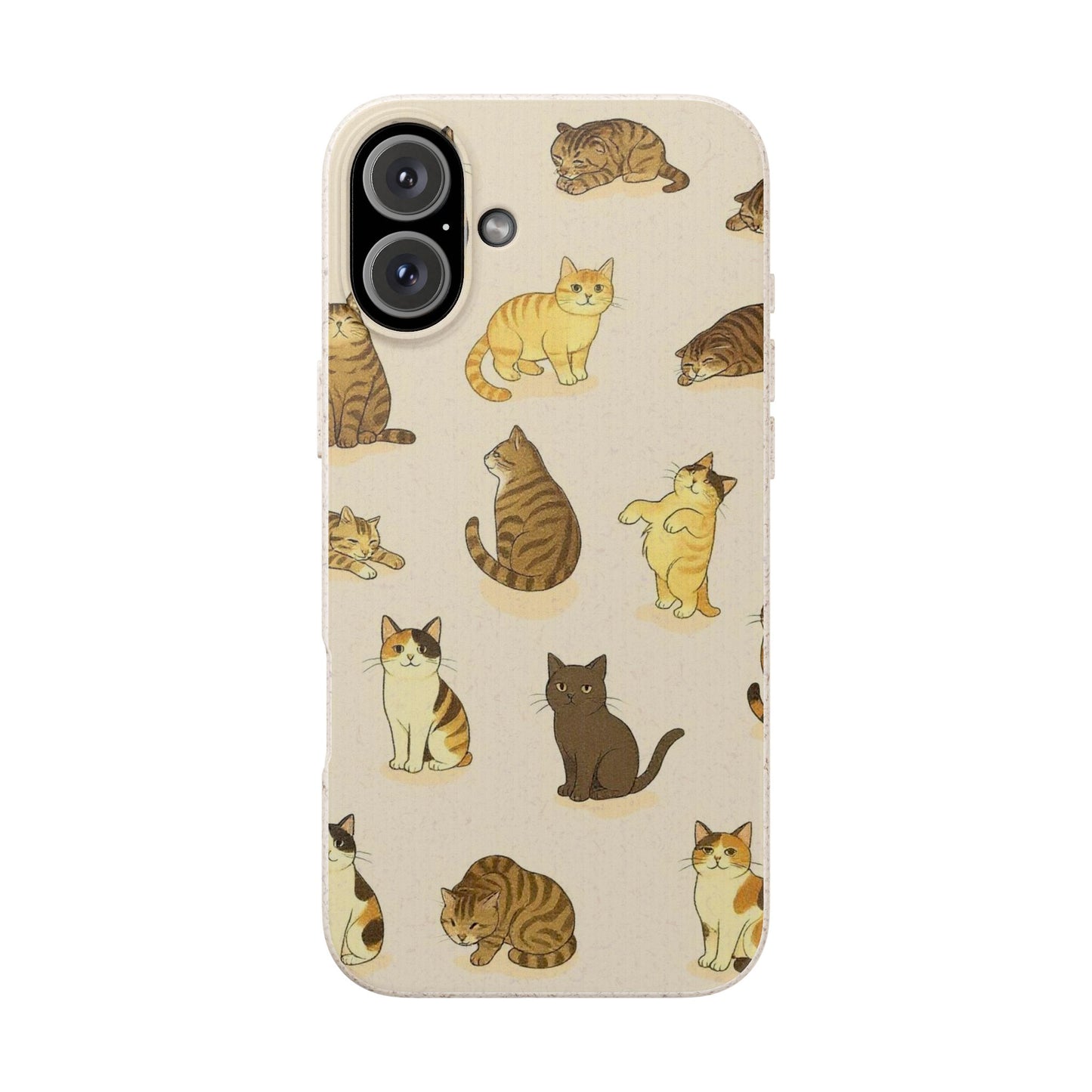 The Cat Collective