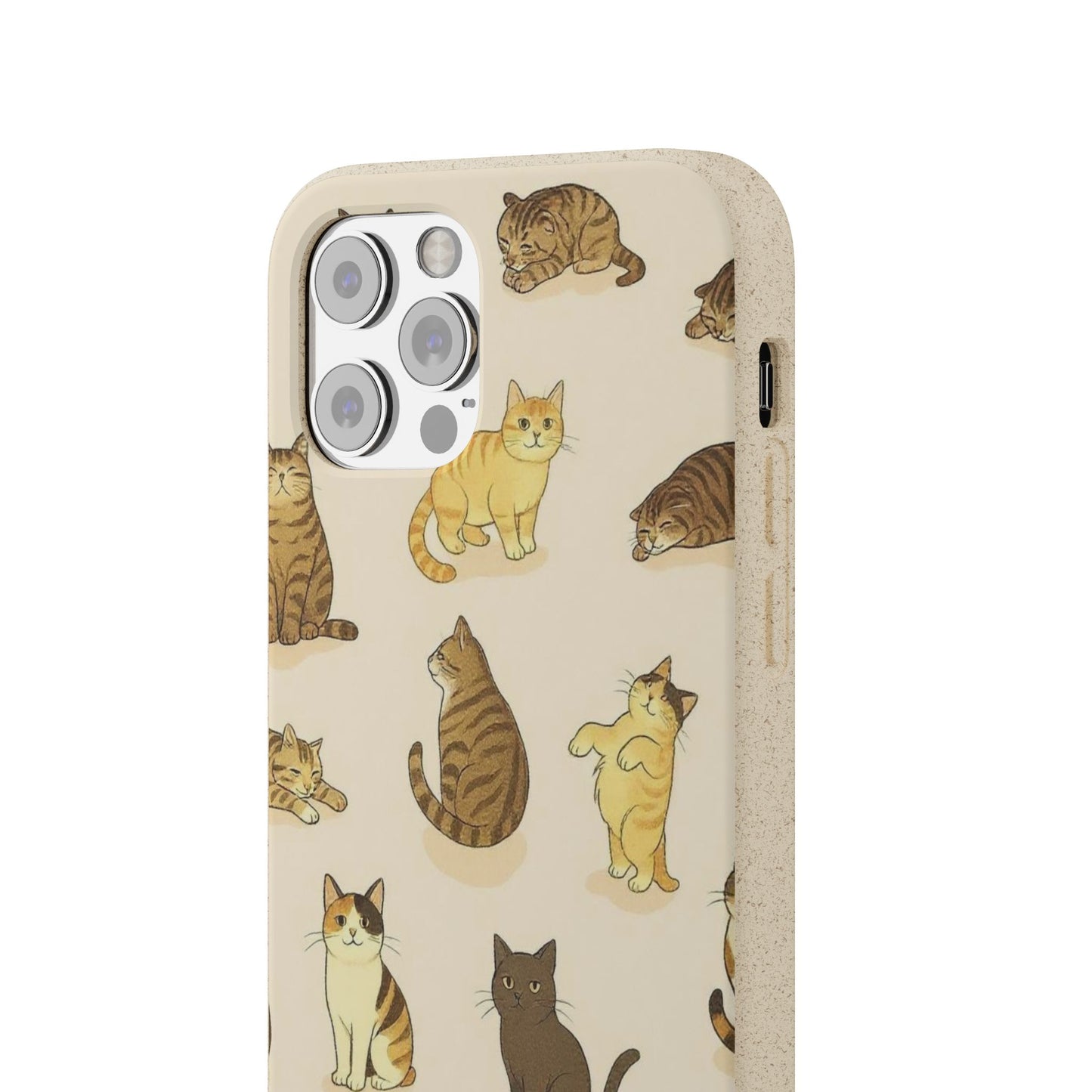 The Cat Collective