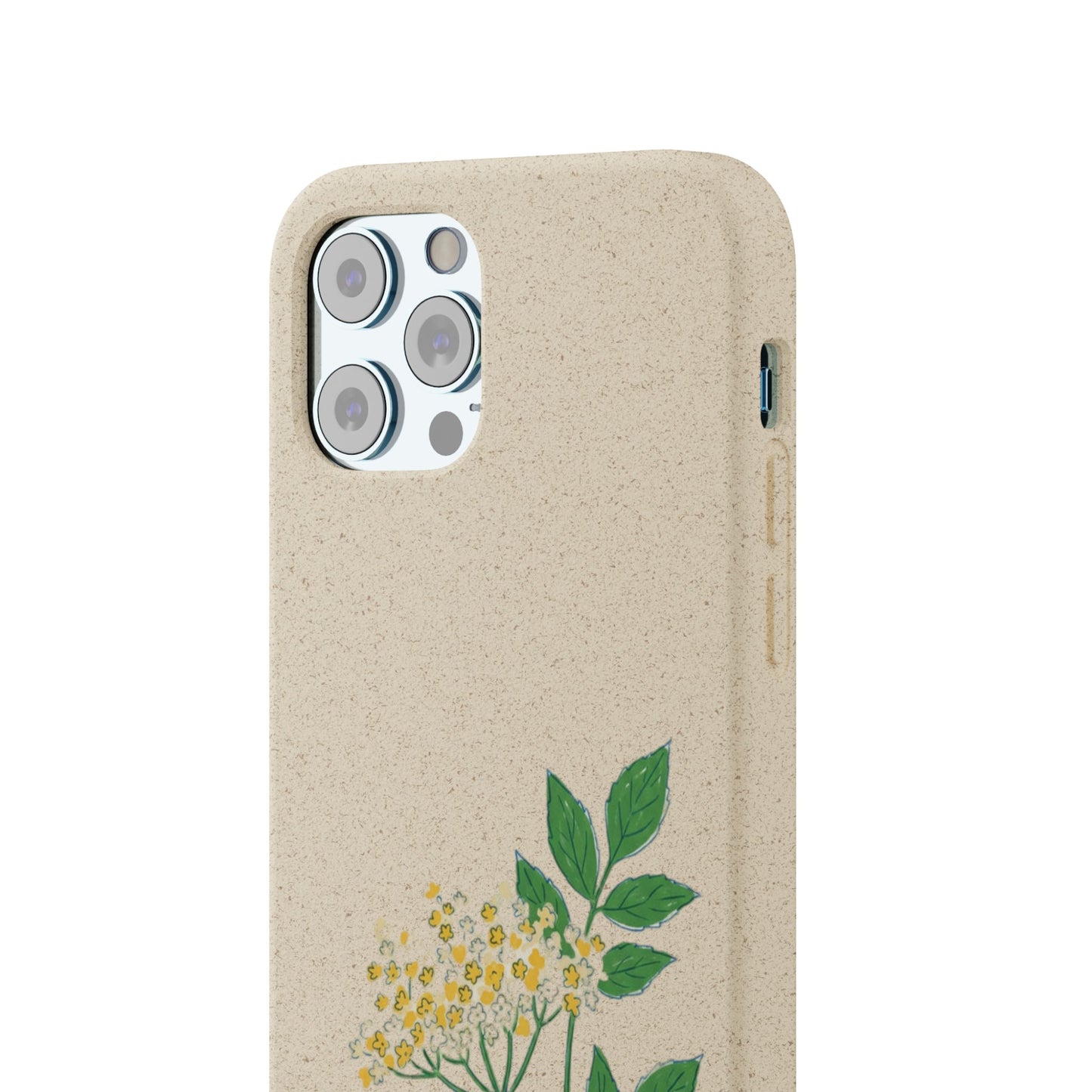 Elderflower Whispers