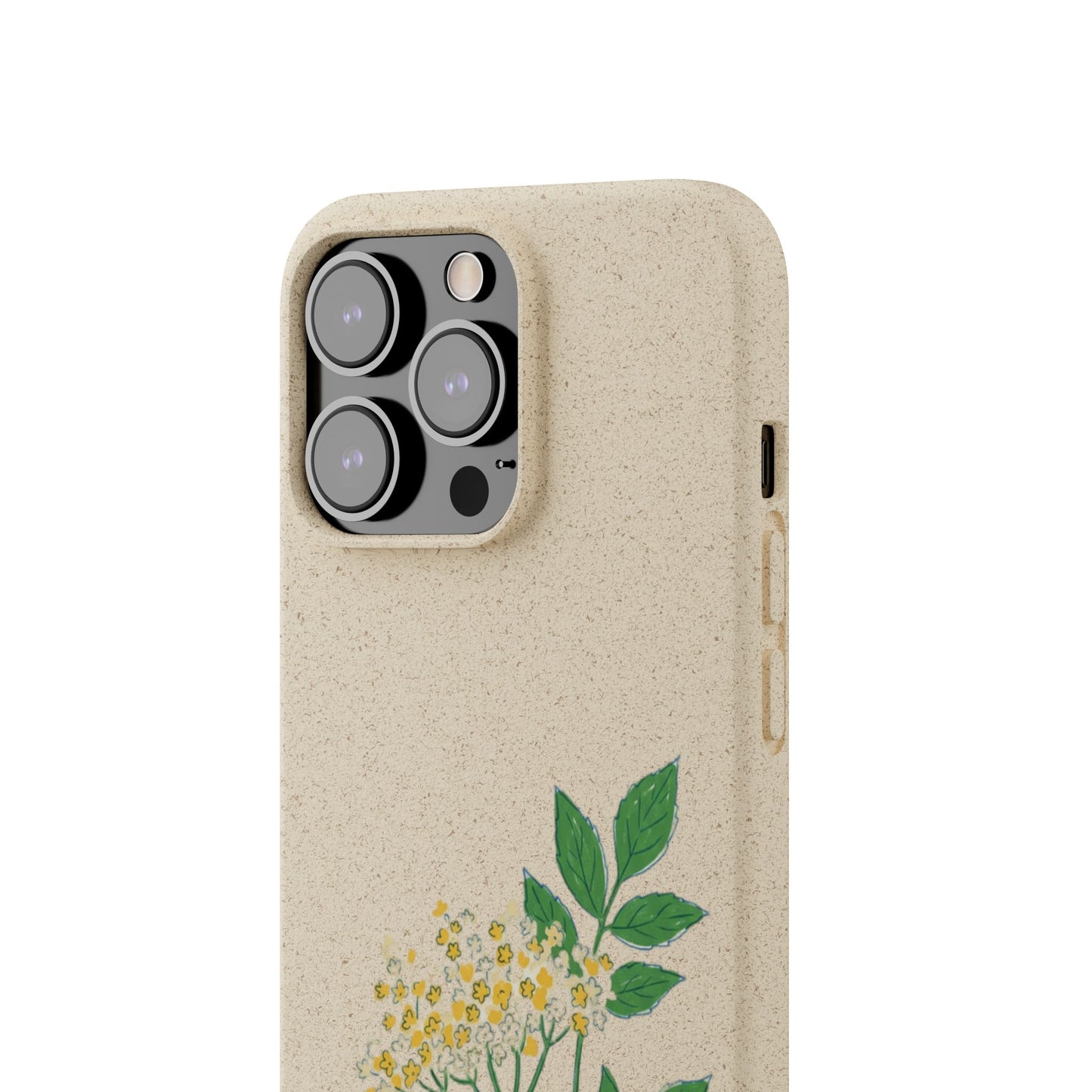 Elderflower Whispers