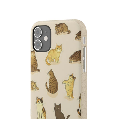 The Cat Collective