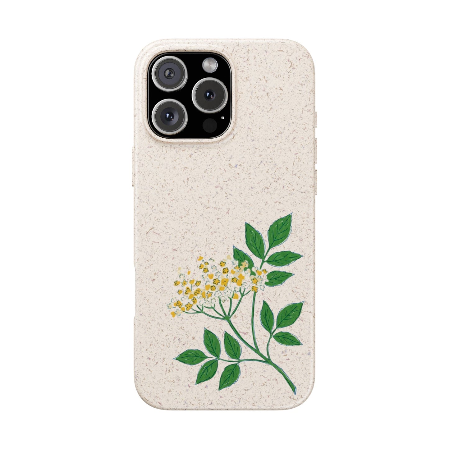 Elderflower Whispers